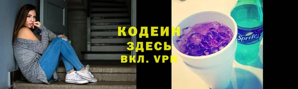 дмт Протвино