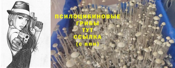 круглые Абаза