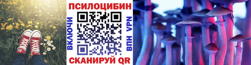 купить наркотики цена  Сальск  Псилоцибиновые грибы Psilocybine cubensis 