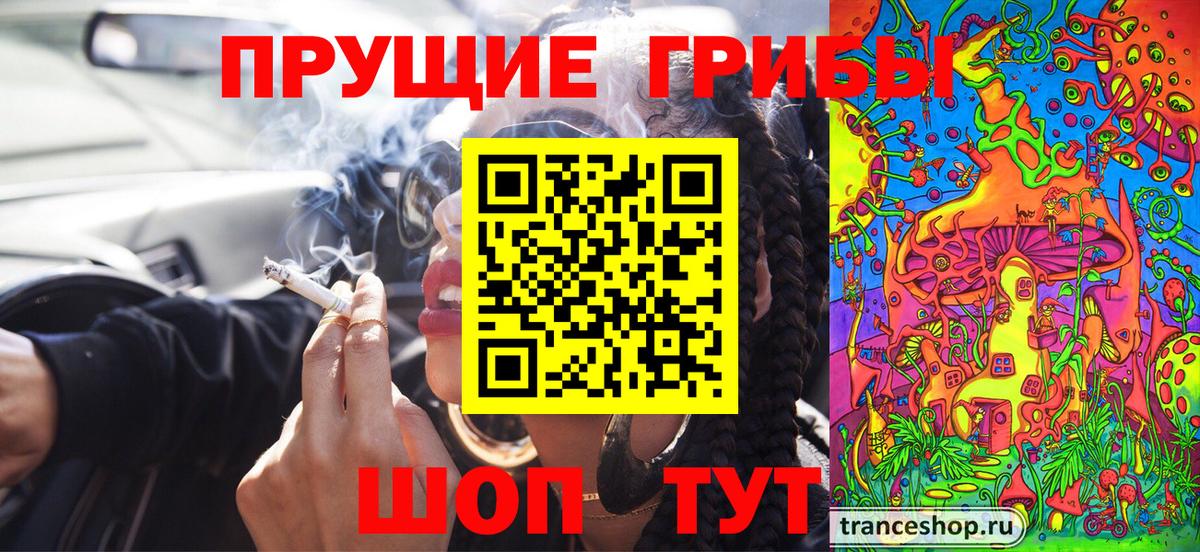 наркотики  Псилоцибиновые грибы MAGIC MUSHROOMS  Вход с VPN  Сальск  Псилоцибиновые грибы GOLDEN TEACHER 