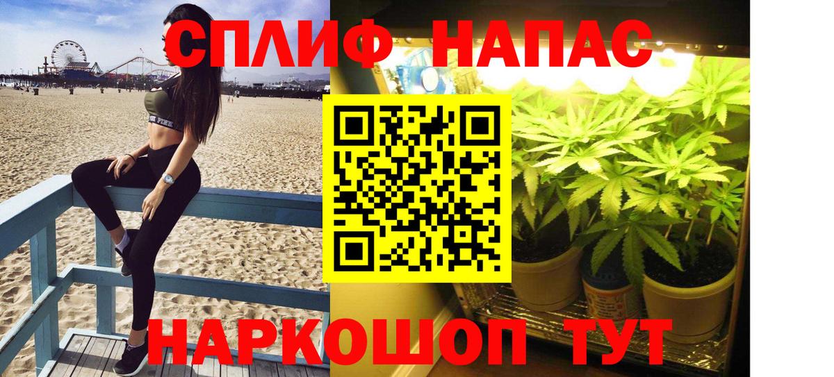 Марихуана планчик Сальск